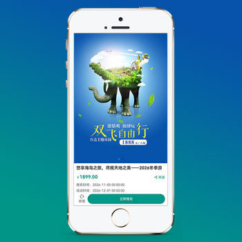 單頁落地頁推廣網(wǎng)站模板 – 帶復制微信號(獨立手機版)